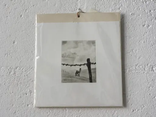 #3 - Titouan Tillier